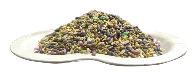 Rajwadi Temptation