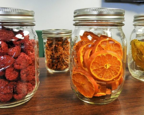 dehydrating-food-1024x623